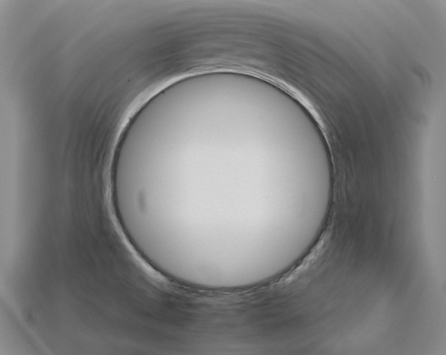 X0000115271525200911131757