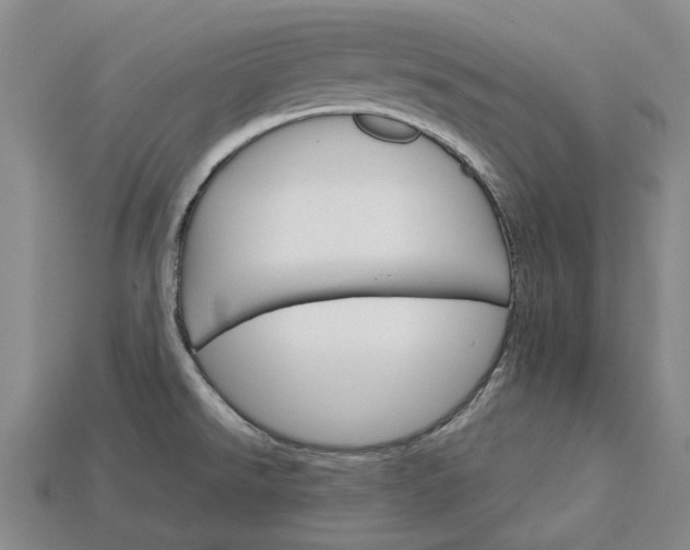 X0000115271526200911131757