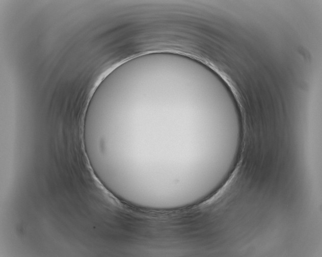 X0000115271529200911131757