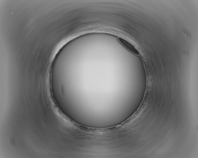 X0000115271530200911131757