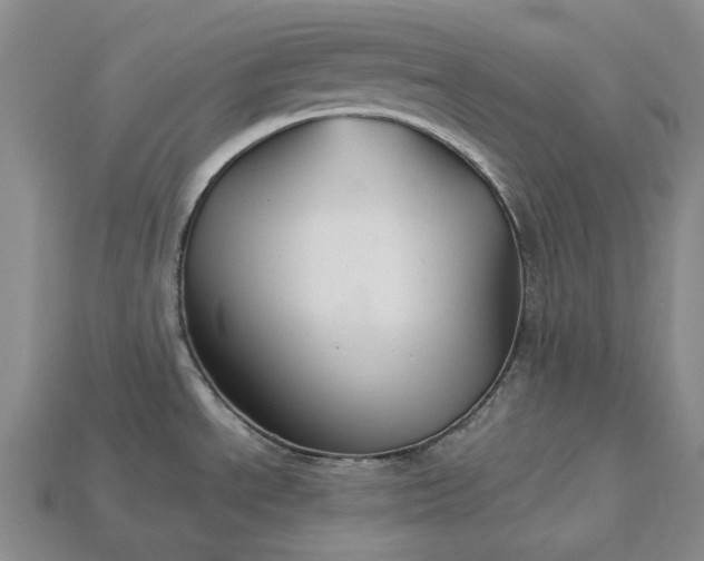 X0000115271534200911131757
