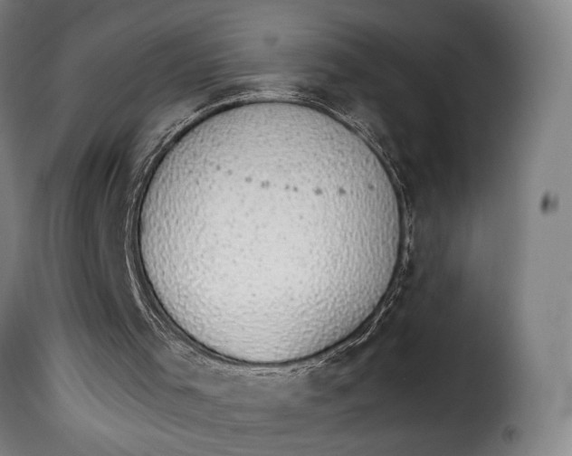 X0000115270001200911201739