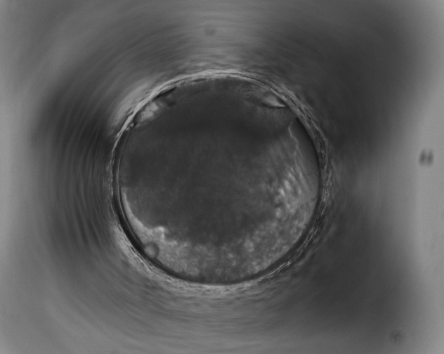 X0000115270002200911201739