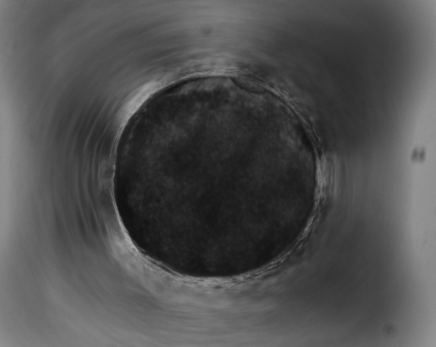 X0000115270003200911201739