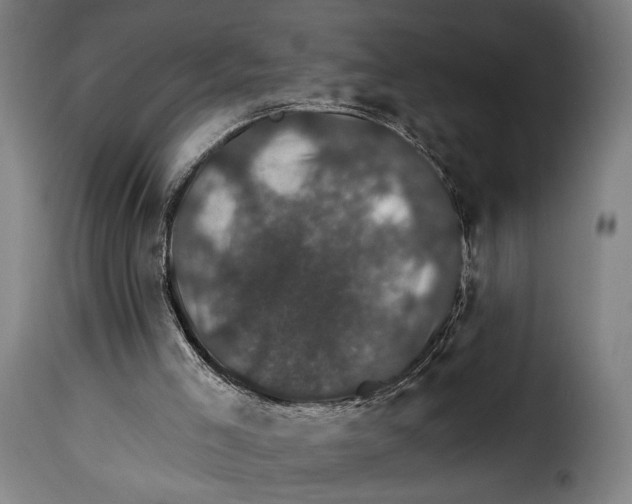 X0000115270005200911201739