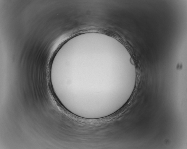 X0000115270006200911201739