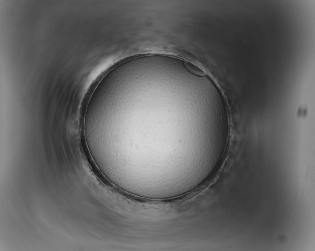 X0000115270008200911201739