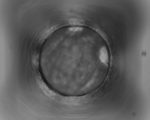 X0000115270009200911201739