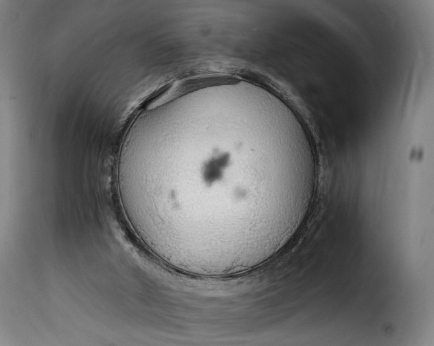 X0000115270010200911201739