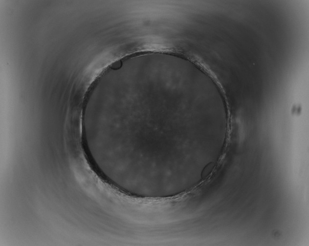 X0000115270011200911201739