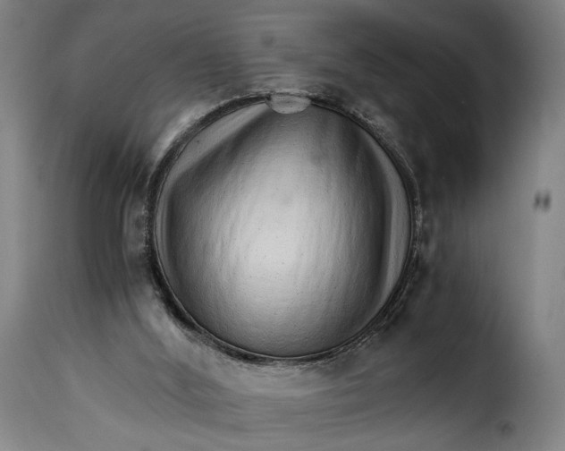 X0000115270012200911201739