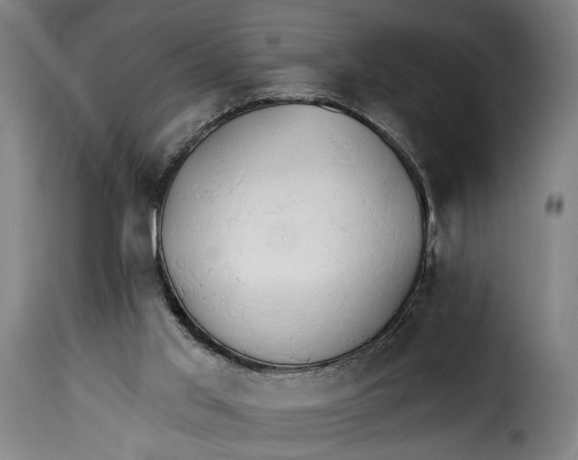 X0000115270013200911201739