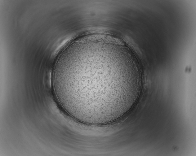 X0000115270014200911201739