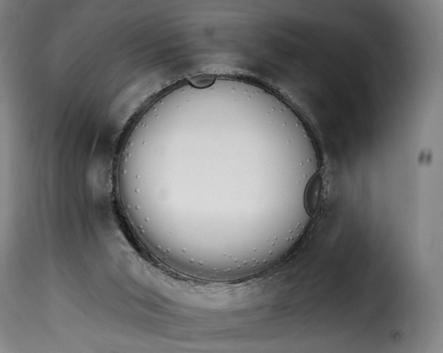 X0000115270015200911201739