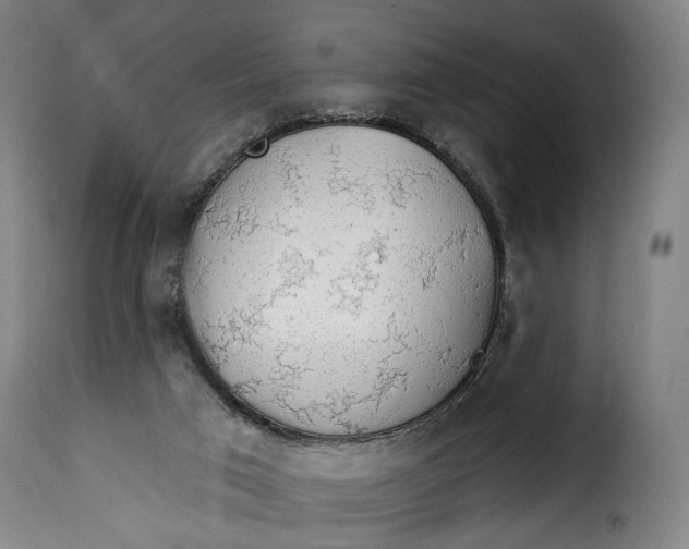 X0000115270017200911201739