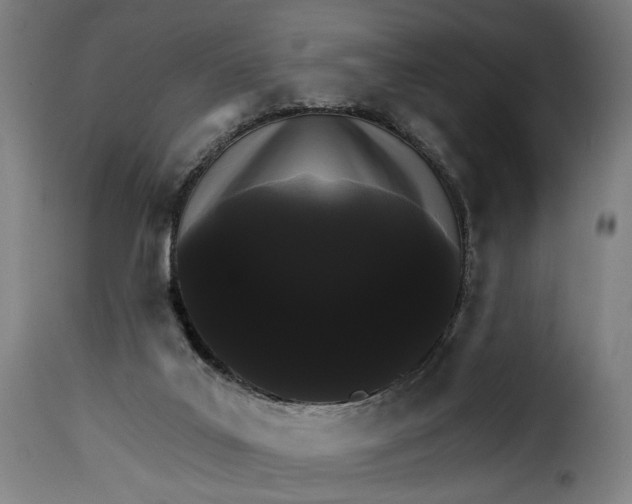 X0000115270019200911201739