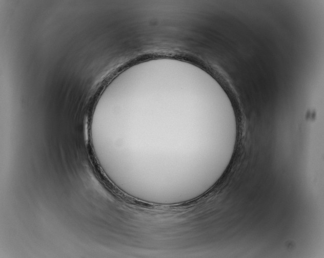 X0000115270020200911201739