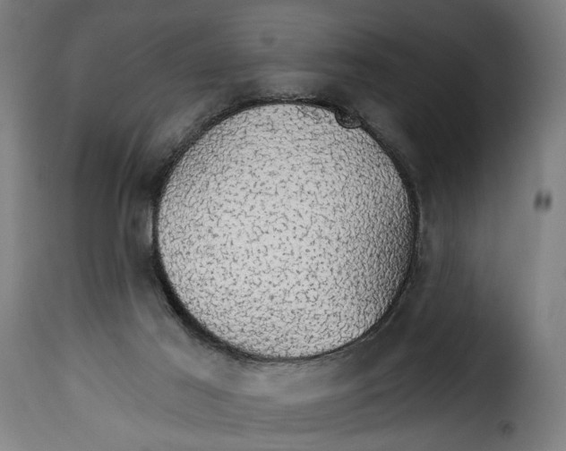 X0000115270021200911201739