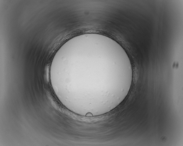 X0000115270022200911201739