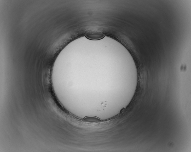 X0000115270023200911201739