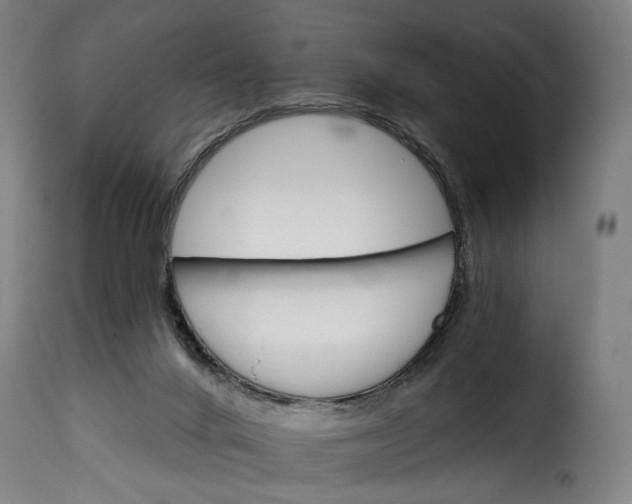 X0000115270024200911201739