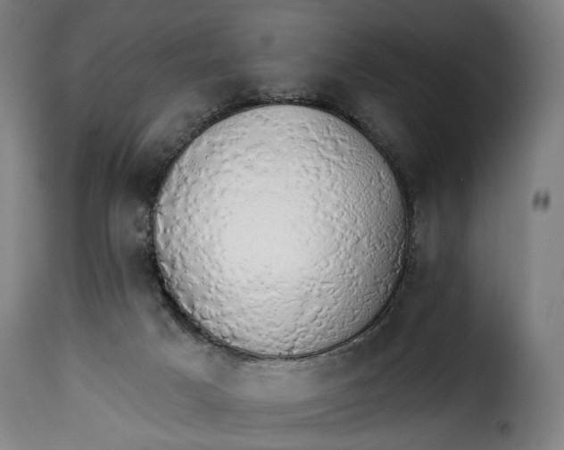 X0000115270025200911201739