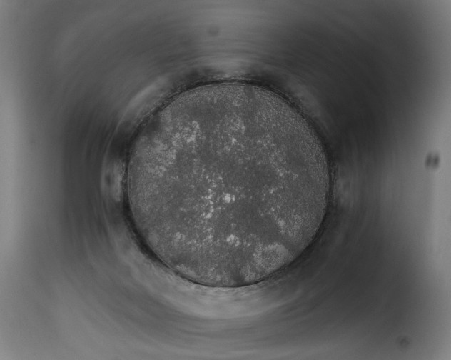 X0000115270026200911201739