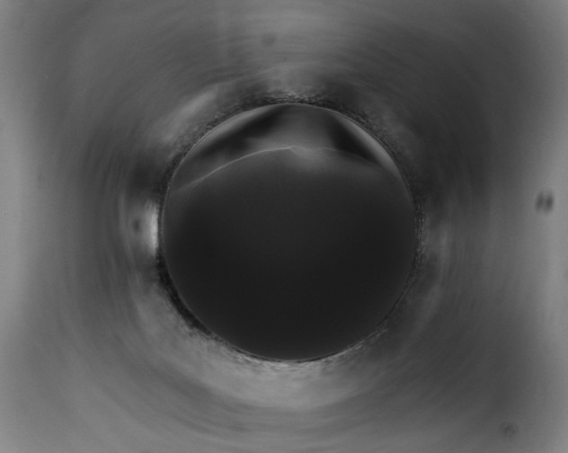 X0000115270027200911201739