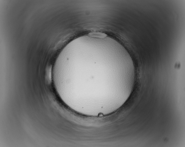 X0000115270028200911201739