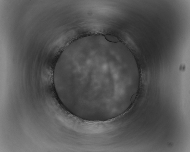 X0000115270029200911201739