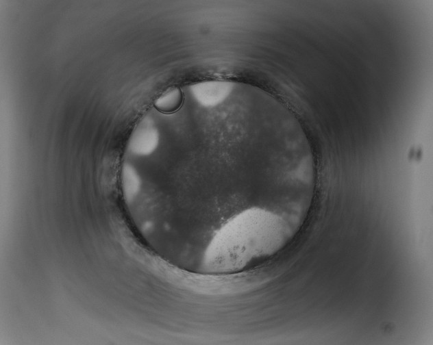 X0000115270030200911201739