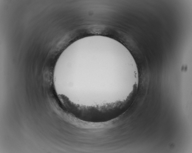 X0000115270031200911201739