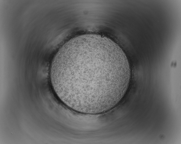 X0000115270032200911201739