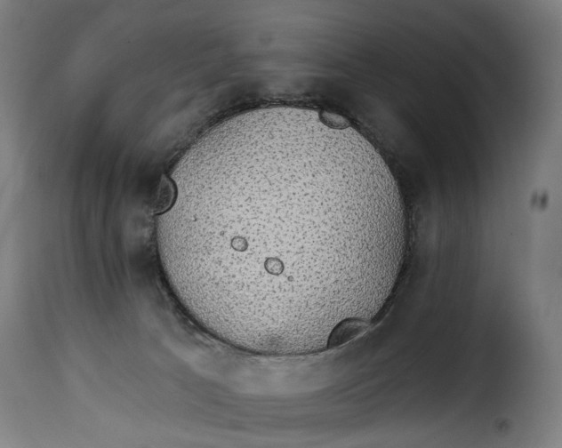 X0000115270033200911201739