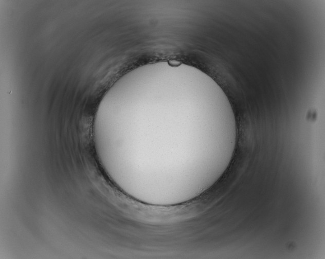 X0000115270034200911201739