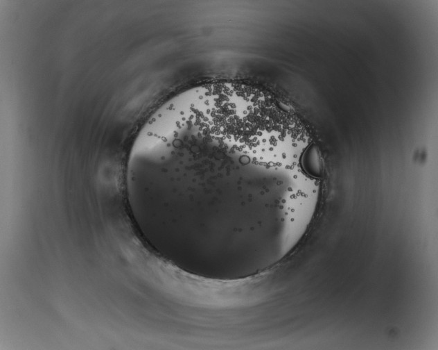 X0000115270035200911201739