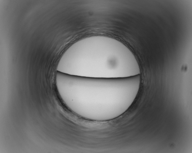 X0000115270036200911201739