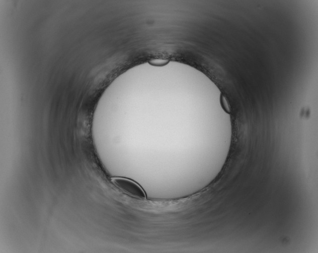 X0000115270037200911201739