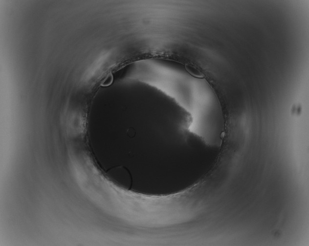 X0000115270039200911201739