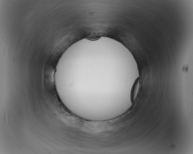 X0000115270041200911201739