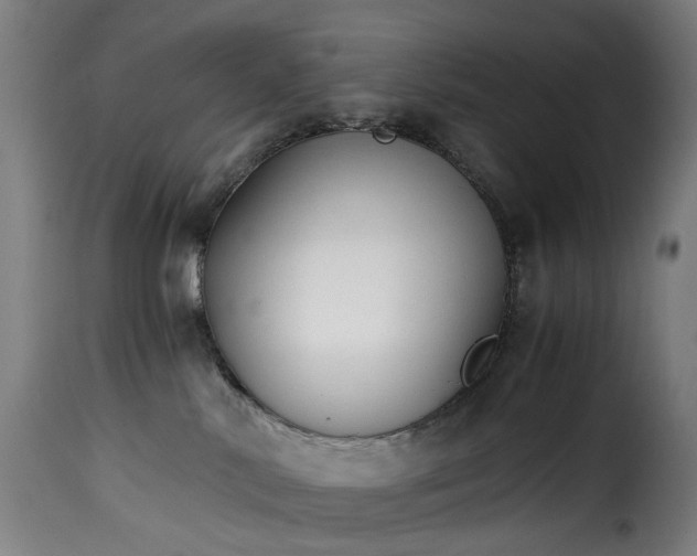 X0000115270042200911201738