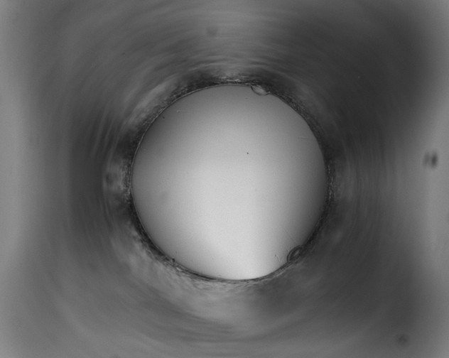 X0000115270044200911201738