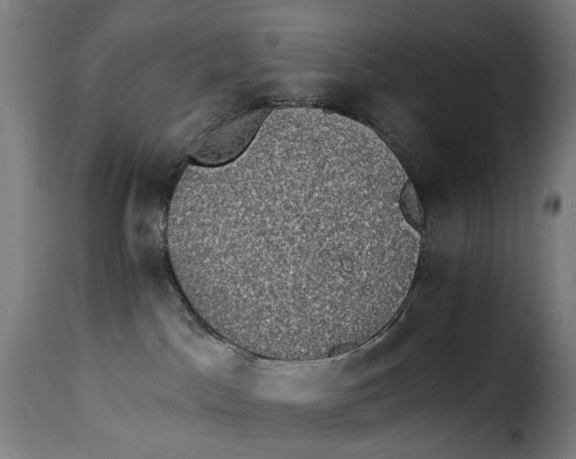 X0000115270045200911201738