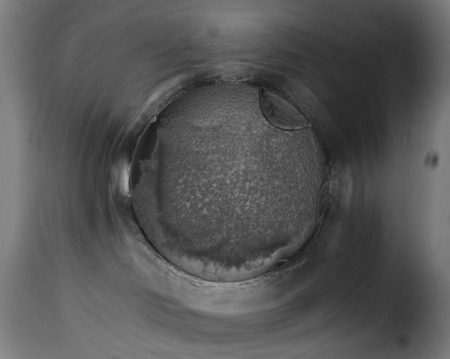 X0000115270046200911201738