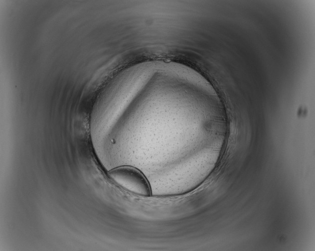 X0000115270048200911201738