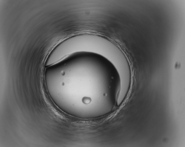 X0000115270049200911201738