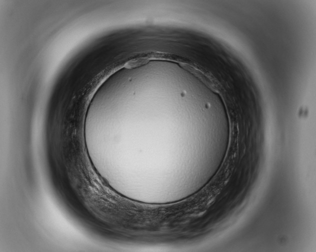 X0000115270050200911201738