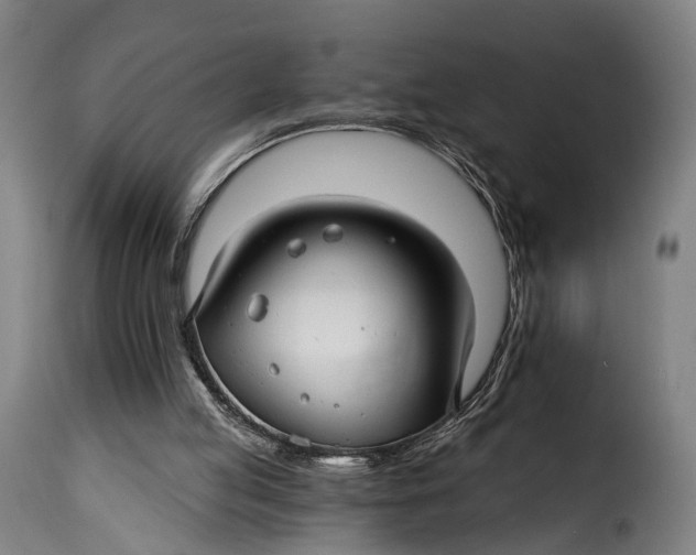 X0000115270053200911201738