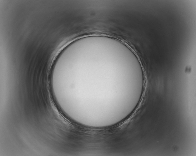 X0000115270055200911201738