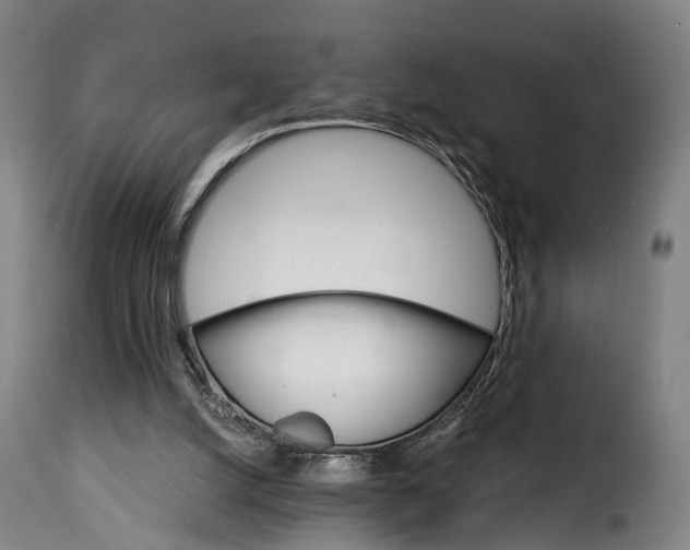 X0000115270056200911201738